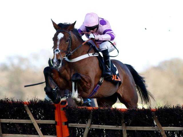 Bitofapuzzle is fancied to win at Fairyhouse on Sunday